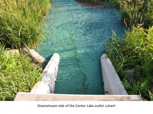 Center Lake Blue Green Algae Blooms